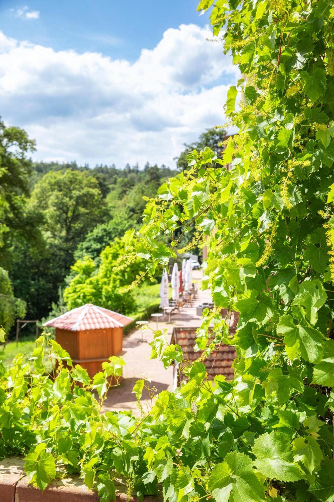 Roomingtons Hotel Franziskushoehe Lohr Εξωτερικό φωτογραφία