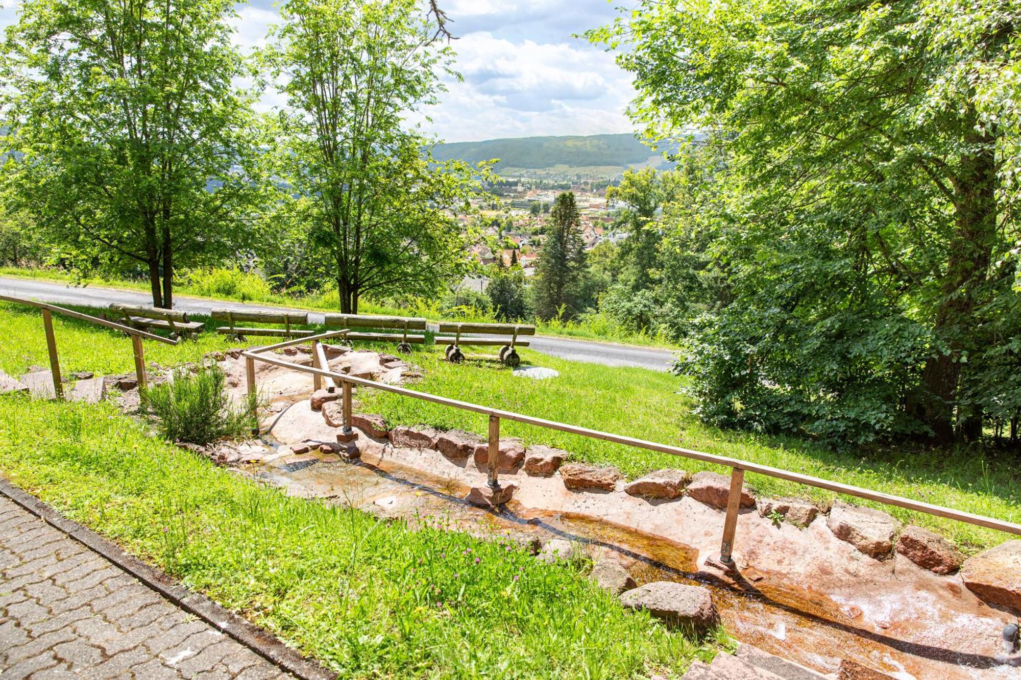 Roomingtons Hotel Franziskushoehe Lohr Εξωτερικό φωτογραφία